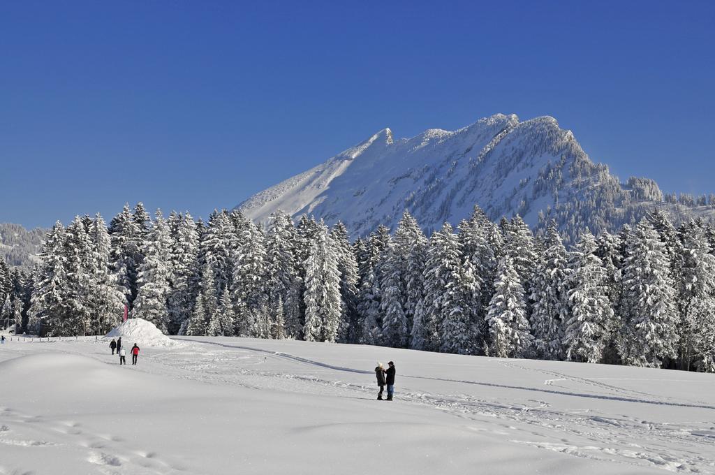 Hotel Sonne Amden Kültér fotó